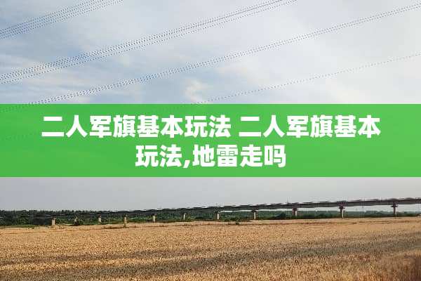 二人军旗基本玩法 二人军旗基本玩法,地雷走吗