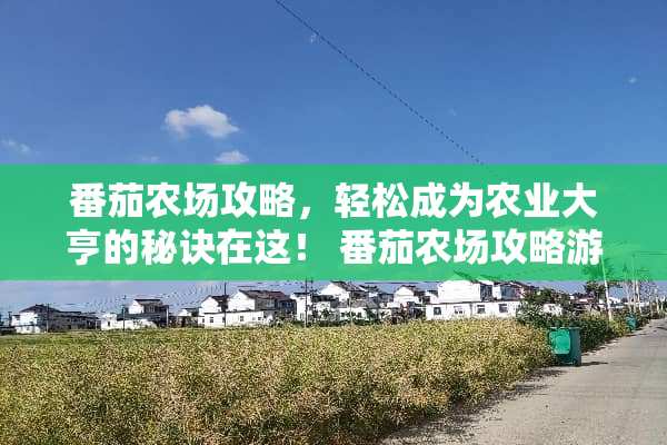 番茄农场攻略，轻松成为农业大亨的秘诀在这！ 番茄农场攻略游戏