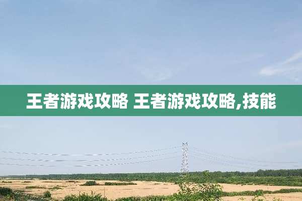 王者游戏攻略 王者游戏攻略,技能