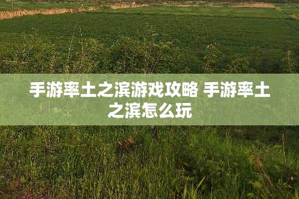 手游率土之滨游戏攻略 手游率土之滨怎么玩