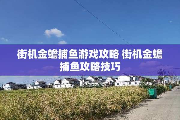 街机金蟾捕鱼游戏攻略 街机金蟾捕鱼攻略技巧