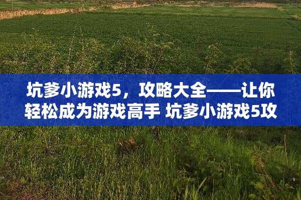 坑爹小游戏5，攻略大全——让你轻松成为游戏高手 坑爹小游戏5攻略