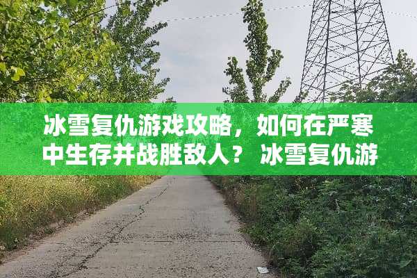冰雪复仇游戏攻略，如何在严寒中生存并战胜敌人？ 冰雪复仇游戏攻略