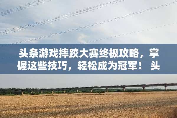 头条游戏摔跤大赛终极攻略，掌握这些技巧，轻松成为冠军！ 头条游戏摔跤大赛攻略