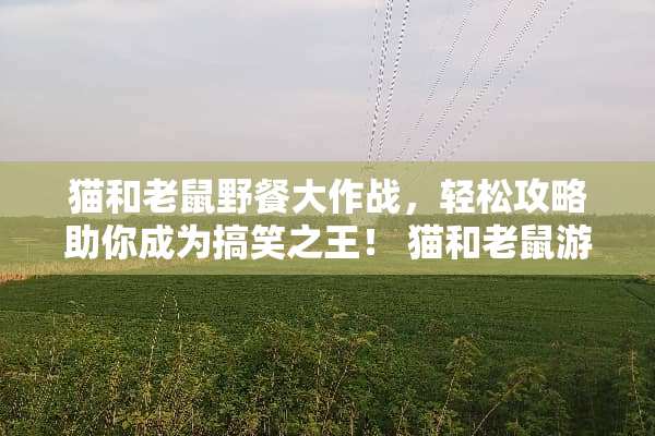 猫和老鼠野餐大作战，轻松攻略助你成为搞笑之王！ 猫和老鼠游戏野餐攻略