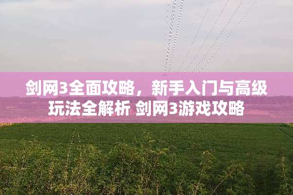 剑网3全面攻略，新手入门与高级玩法全解析 剑网3游戏攻略
