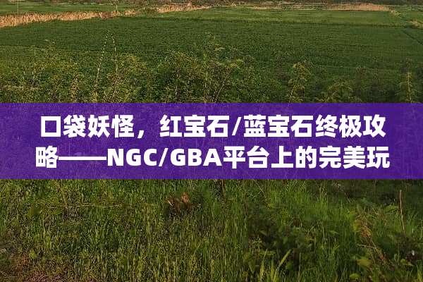 口袋妖怪，红宝石/蓝宝石终极攻略——NGC/GBA平台上的完美玩法指南 nds游戏gg攻略