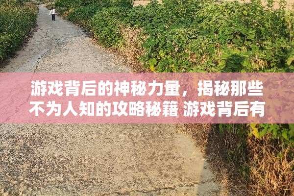 游戏背后的神秘力量，揭秘那些不为人知的攻略秘籍 游戏背后有诡攻略