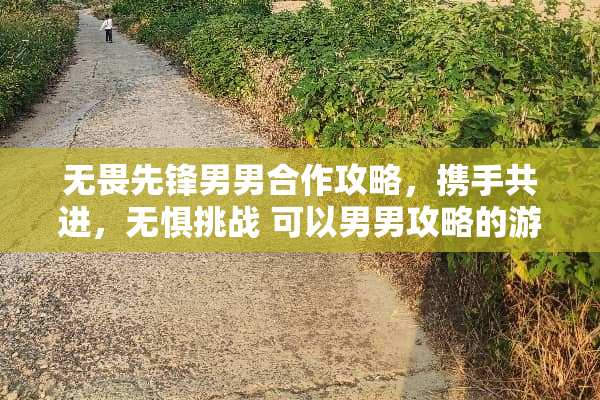 无畏先锋男男合作攻略，携手共进，无惧挑战 可以男男攻略的游戏