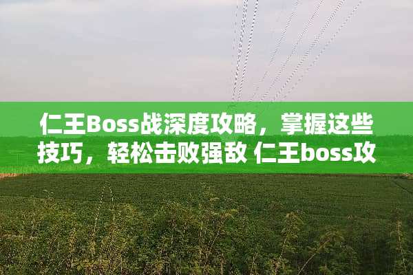 仁王Boss战深度攻略，掌握这些技巧，轻松击败强敌 仁王boss攻略