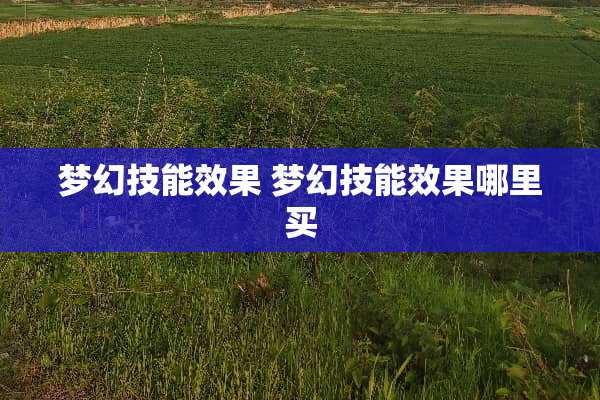 梦幻技能效果 梦幻技能效果哪里买