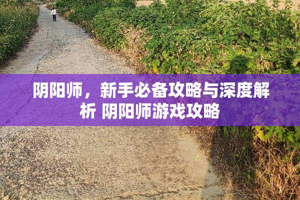 *阳师，新手必备攻略与深度解析 *阳师游戏攻略