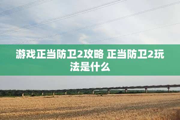 游戏正当防卫2攻略 正当防卫2玩法是什么
