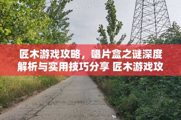 匠木游戏攻略，唱片盒之谜深度解析与实用技巧分享 匠木游戏攻略唱片盒
