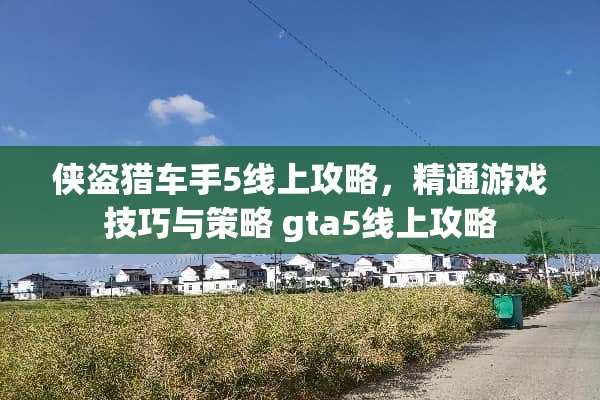 侠盗猎车手5线上攻略，精通游戏技巧与策略 gta5线上攻略