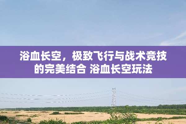 浴血长空，极致飞行与战术竞技的完美结合 浴血长空玩法