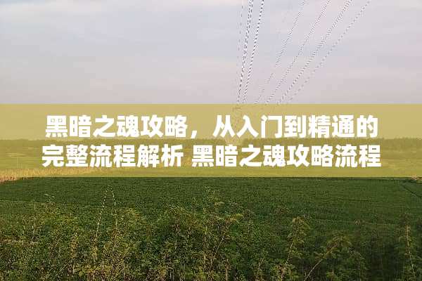 黑暗之魂攻略，从入门到精通的完整流程解析 黑暗之魂攻略流程
