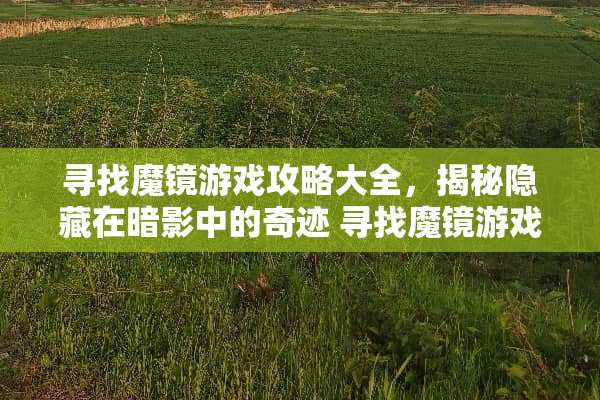 寻找魔镜游戏攻略大全，揭秘隐藏在暗影中的奇迹 寻找魔镜游戏攻略大全