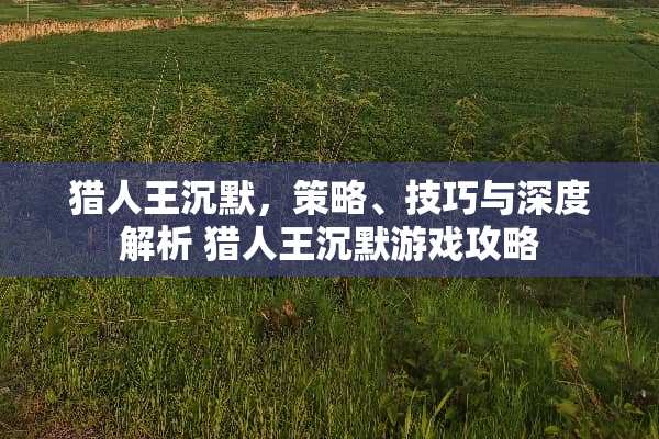 猎人王沉默，策略、技巧与深度解析 猎人王沉默游戏攻略