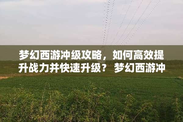 梦幻西游冲级攻略，如何高效提升战力并快速升级？ 梦幻西游冲级攻略