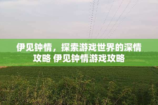 伊见钟情，探索游戏世界的深情攻略 伊见钟情游戏攻略