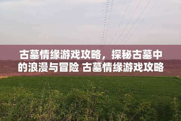 古墓情缘游戏攻略，探秘古墓中的浪漫与冒险 古墓情缘游戏攻略