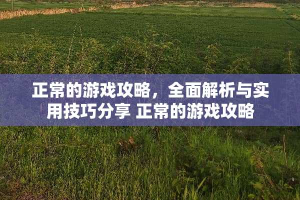 正常的游戏攻略，全面解析与实用技巧分享 正常的游戏攻略