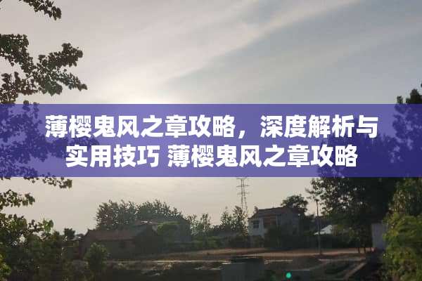 薄樱鬼风之章攻略，深度解析与实用技巧 薄樱鬼风之章攻略
