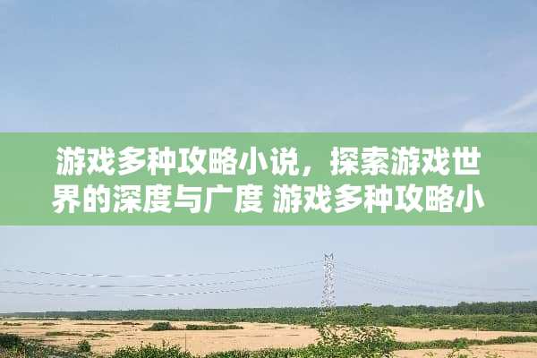 游戏多种攻略小说，探索游戏世界的深度与广度 游戏多种攻略小说