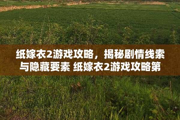 纸嫁衣2游戏攻略，揭秘剧情线索与隐藏要素 纸嫁衣2游戏攻略第一