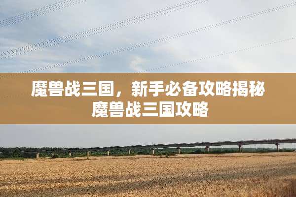 魔兽战三国，新手必备攻略揭秘 魔兽战三国攻略