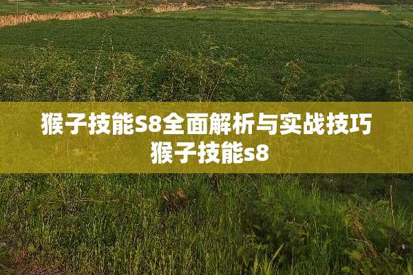 猴子技能S8全面解析与实战技巧 猴子技能s8