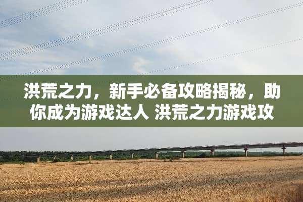 洪荒之力，新手必备攻略揭秘，助你成为游戏达人 洪荒之力游戏攻略