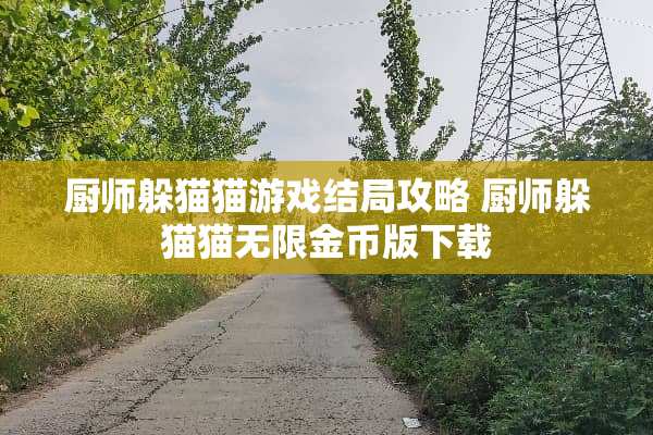 厨师***游戏结局攻略 厨师***无限金币版下载