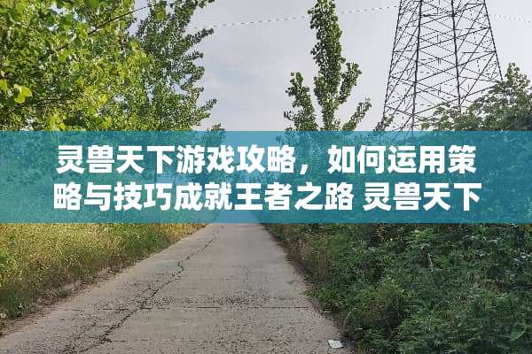灵兽天下游戏攻略，如何运用策略与技巧成就王者之路 灵兽天下游戏攻略