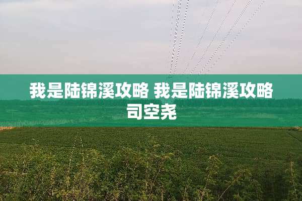 我是陆锦溪攻略 我是陆锦溪攻略司空尧