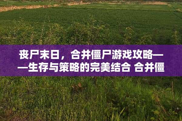 丧尸末日，合并僵尸游戏攻略——生存与策略的完美结合 合并僵尸游戏攻略