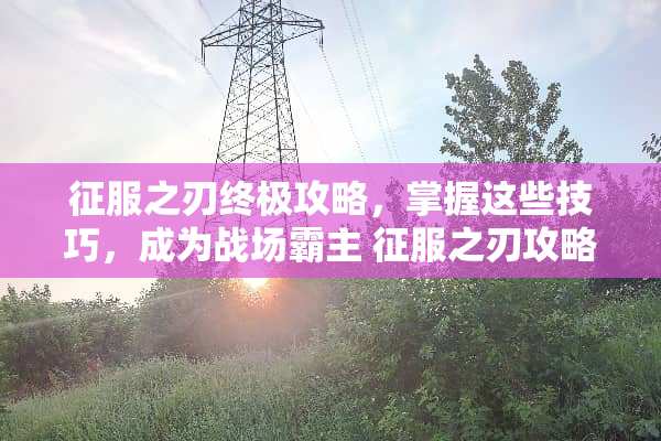 征服之刃终极攻略，掌握这些技巧，成为战场霸主 征服之刃攻略