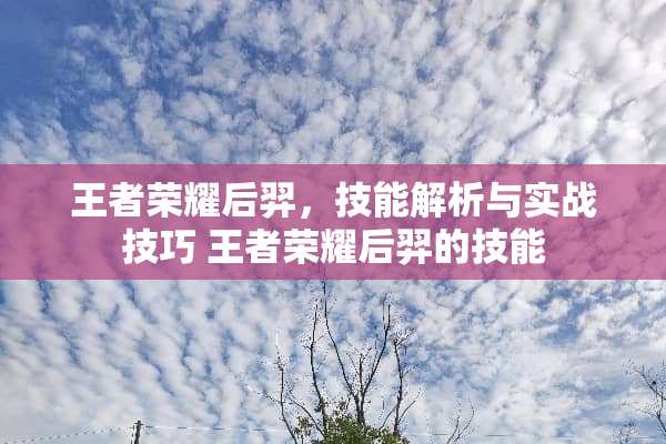 王者荣耀后羿，技能解析与实战技巧 王者荣耀后羿的技能