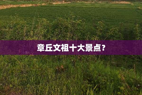 章丘文祖十大景点？