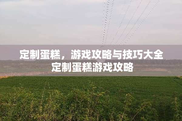 定制蛋糕，游戏攻略与技巧大全 定制蛋糕游戏攻略