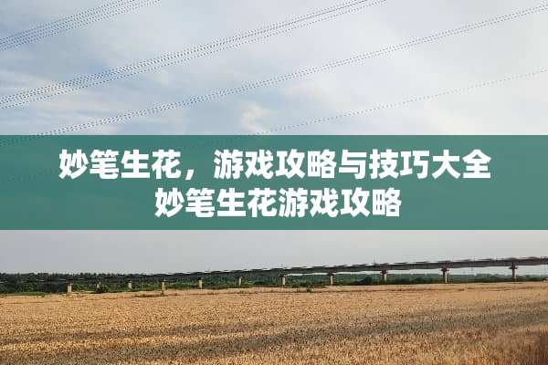 妙笔生花，游戏攻略与技巧大全 妙笔生花游戏攻略