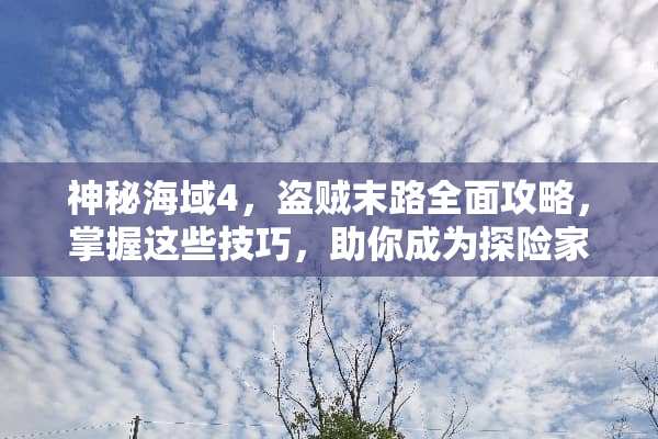 神秘海域4，盗贼末路全面攻略，掌握这些技巧，助你成为探险家之王 成功进入游戏游戏攻略