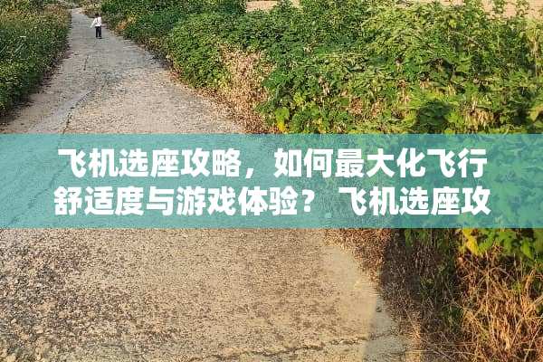 飞机选座攻略，如何最大化飞行舒适度与游戏体验？ 飞机选座攻略