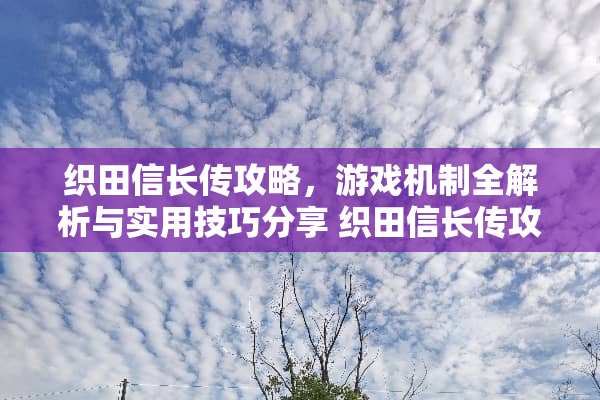 织田信长传攻略，游戏机制全解析与实用技巧分享 织田信长传攻略游戏