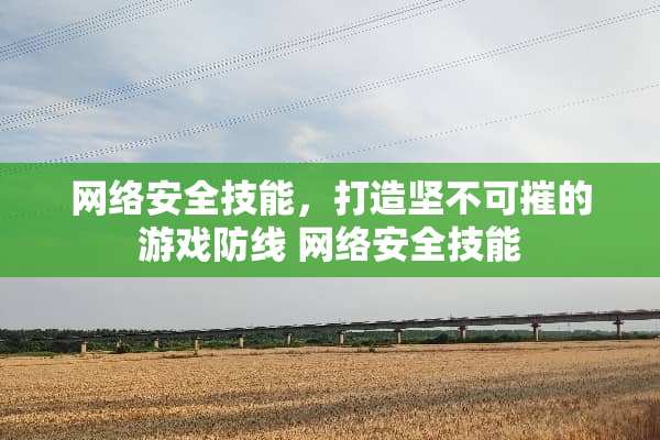 网络安全技能，打造坚不可摧的游戏防线 网络安全技能