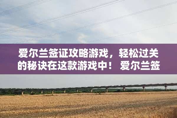 爱尔兰签证攻略游戏，轻松过关的秘诀在这款游戏中！ 爱尔兰签证攻略游戏