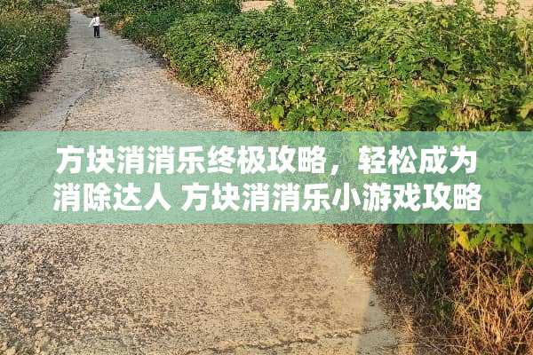 方块消消乐终极攻略，轻松成为消除达人 方块消消乐小游戏攻略