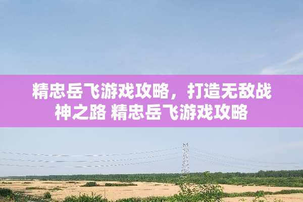 精忠岳飞游戏攻略，打造无敌战神之路 精忠岳飞游戏攻略
