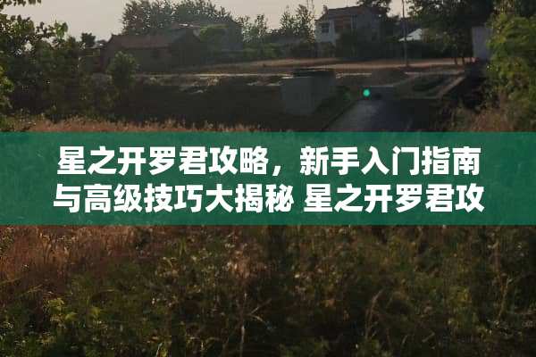 星之开罗君攻略，新手入门指南与高级技巧大揭秘 星之开罗君攻略